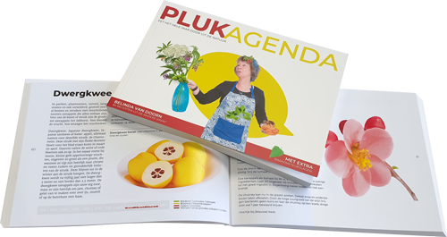 Plukagenda boek