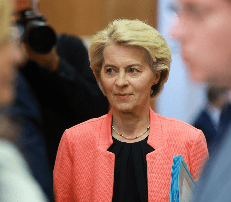 bestrijding desinformatie-min