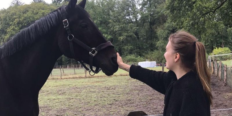 Wereldwijde kritiek op euthanasie bij