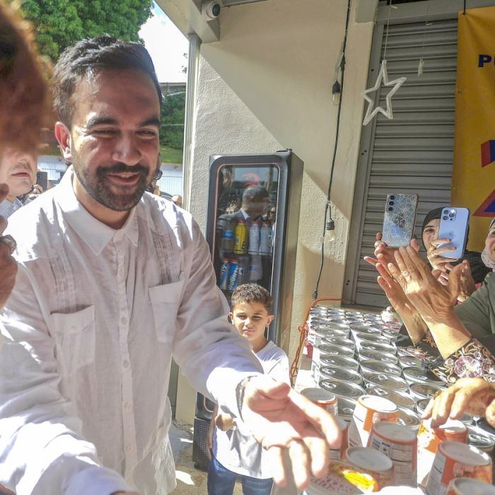 Revolutionaire socialist of gecontroleerde oppositie