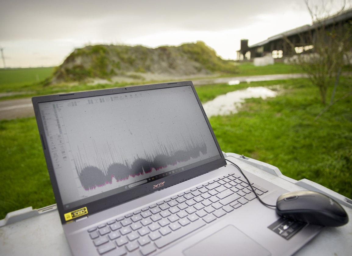 zwerfstroom-gevaar-voor-mens-en-dier