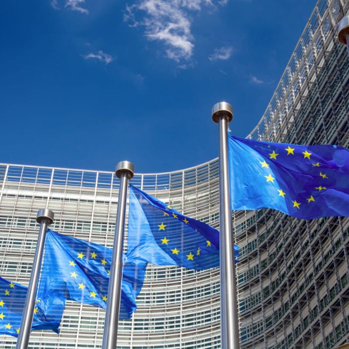 EU verklaart critici vogelvrij