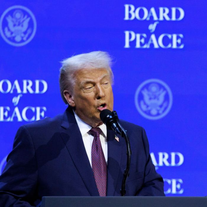 Trumps Vredesraad- bestuursmodel voor de nieuwe wereldorde