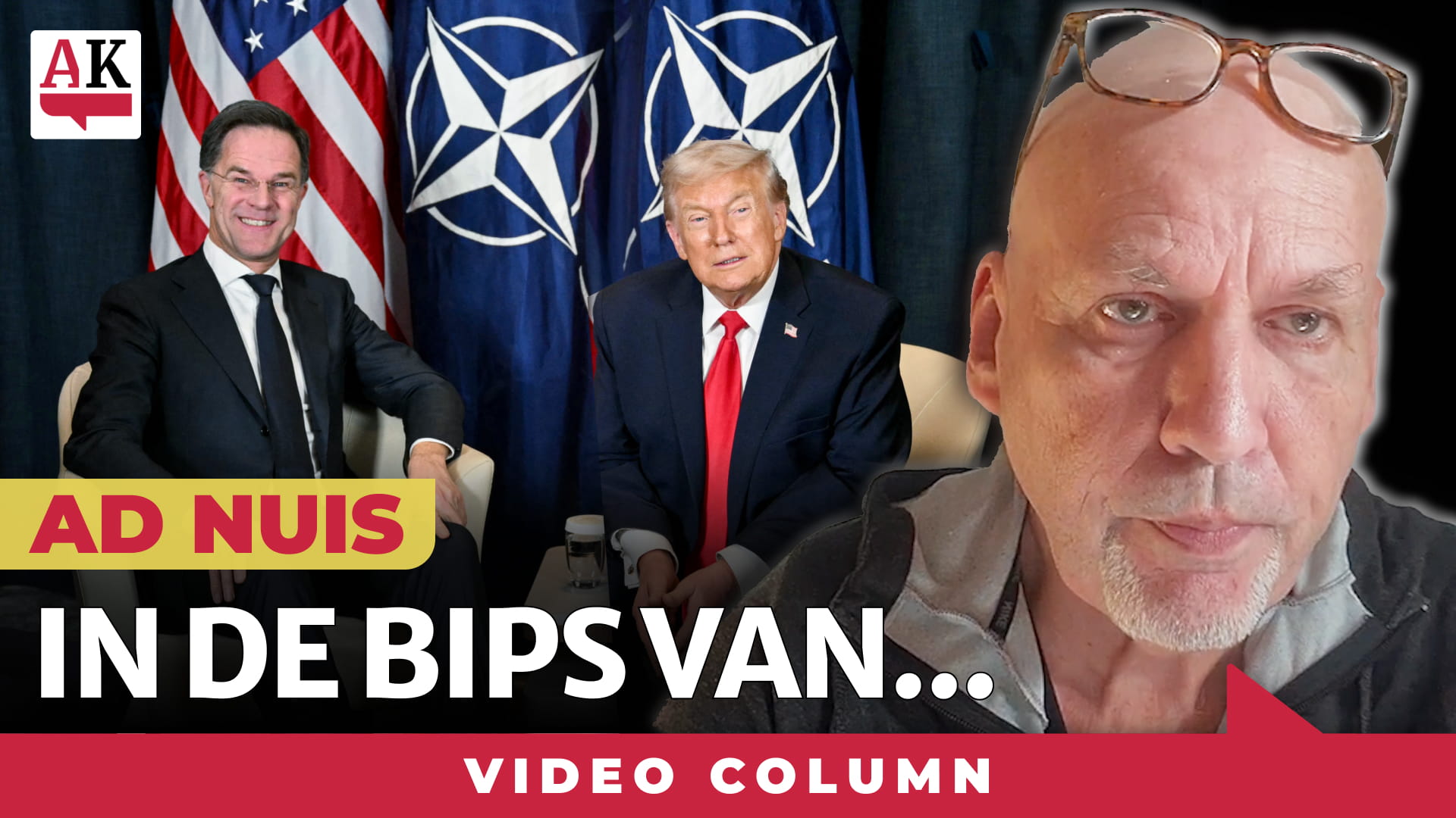 in-de-bips-van