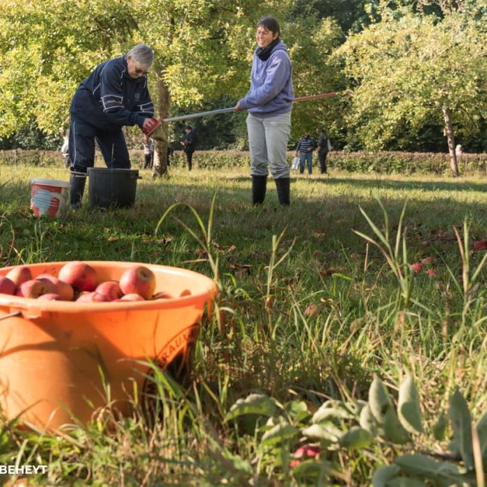 Doordacht aan de slag met voedseloverschotten