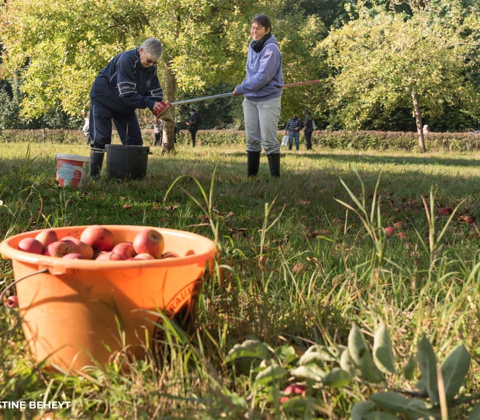 Doordacht aan de slag met voedseloverschotten
