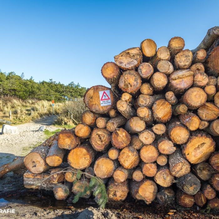 Illegale kaalslag in duingebied