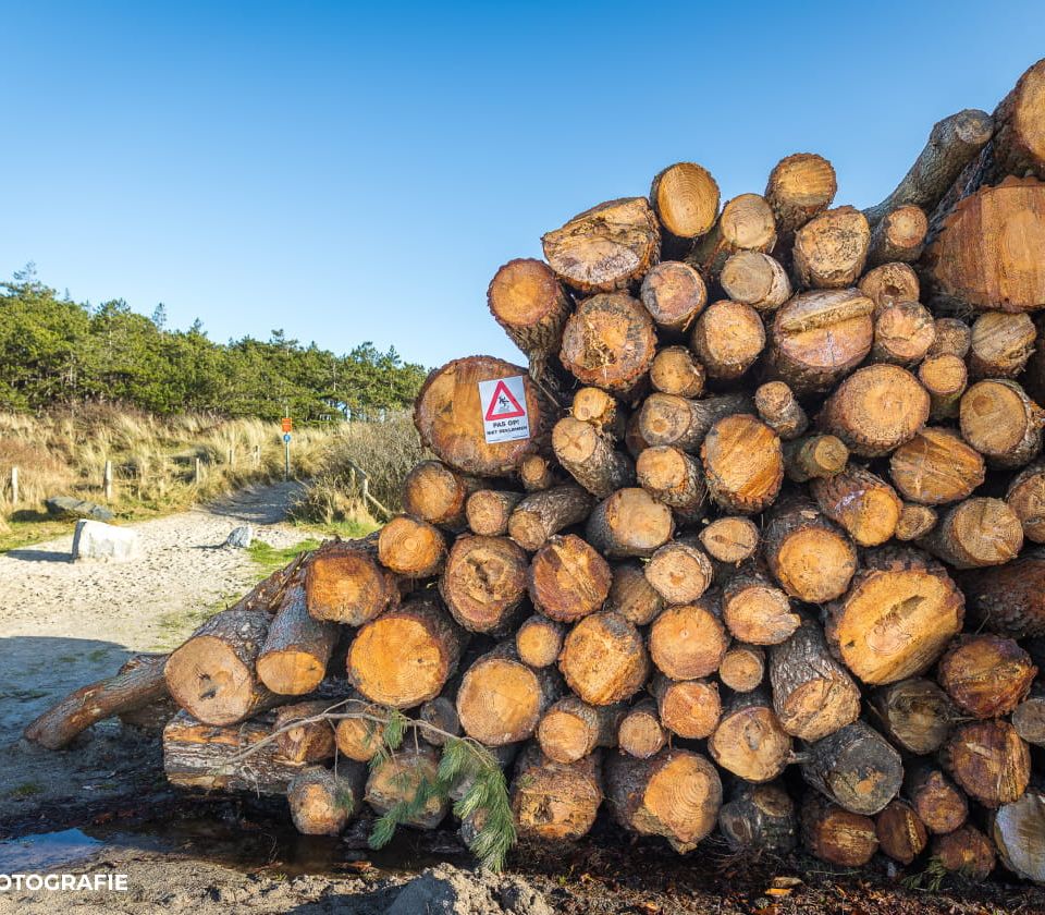 Illegale kaalslag in duingebied