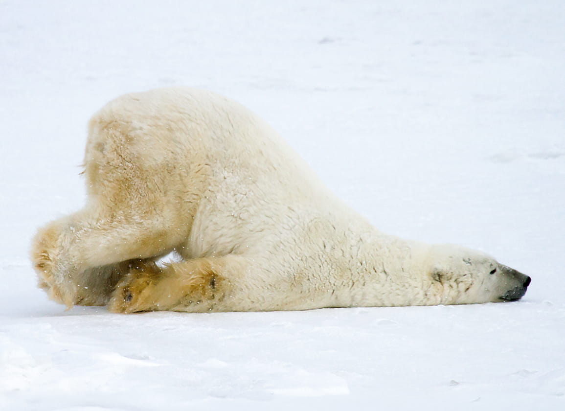 vn-erkent-vals-alarm-over-klimaat