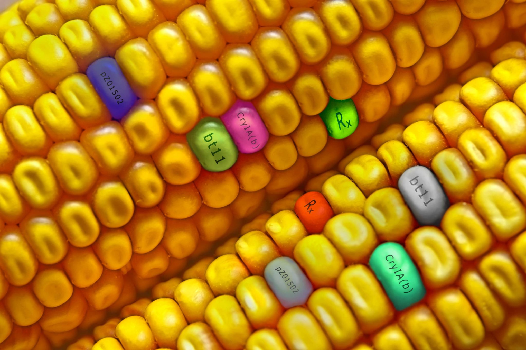 eu-stuurt-aan-op-deregulering-nieuwe-genetische-technieken-2022-10-16