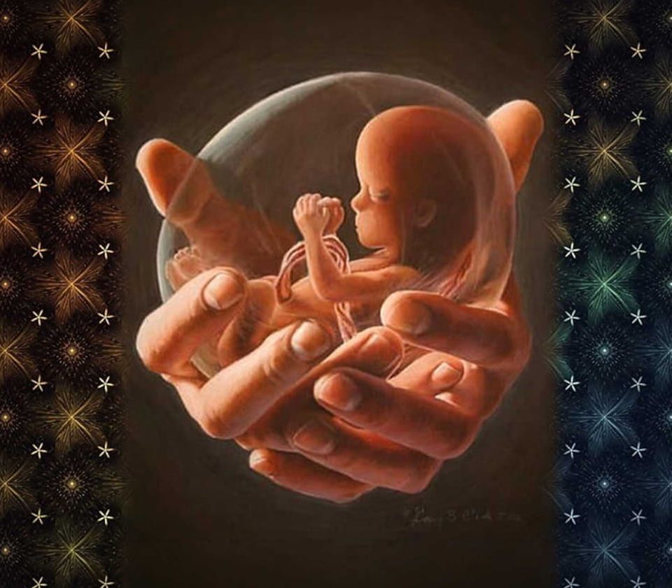 “Huiveringwekkend initatief” rekt grenzen abortus verder op