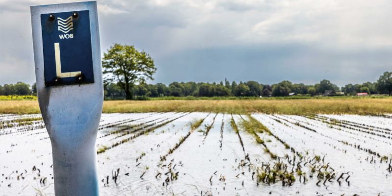“Niet de regen, maar het waterschap zette onze landerijen onder water”