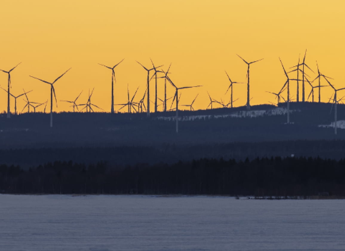 de-zichtbare-gevolgen-van-de-europese-green-deal-deel-1