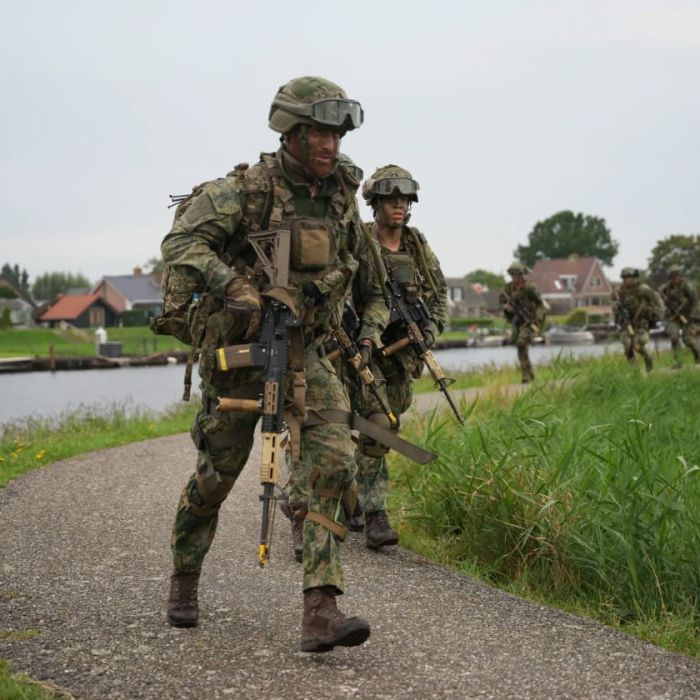 1002 defensiewet
